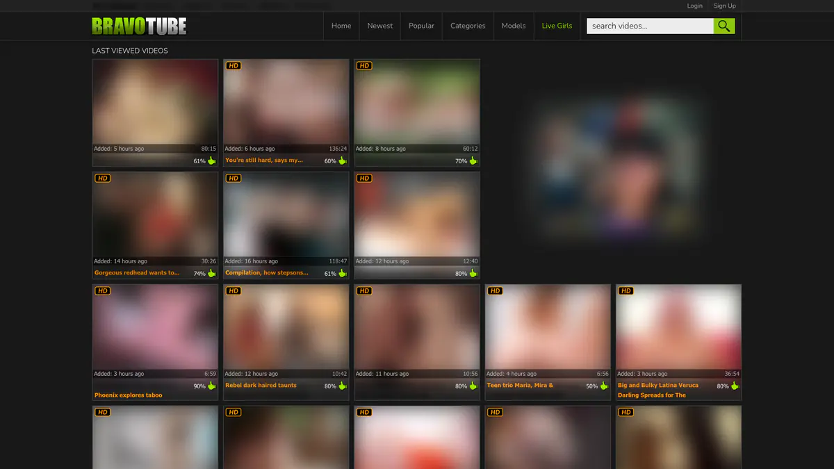 Bravotube Video Downloader screenshot 2