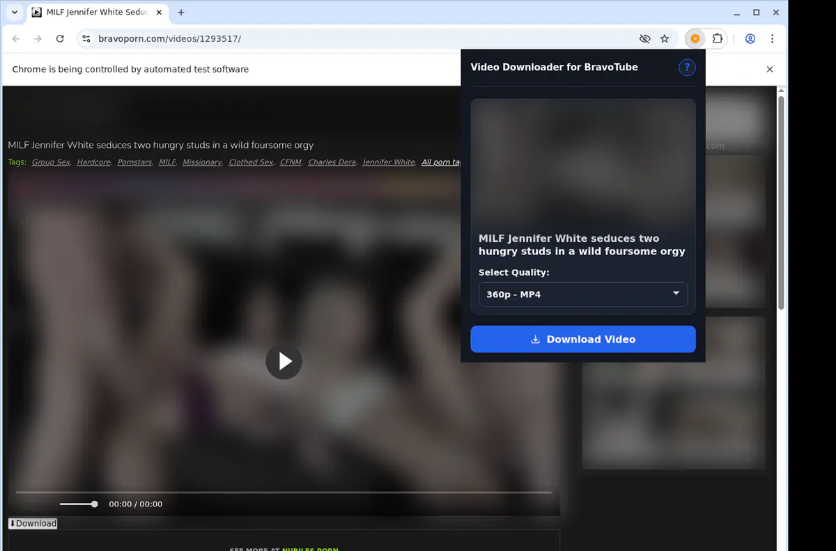 Bravotube Video Downloader screenshot 4